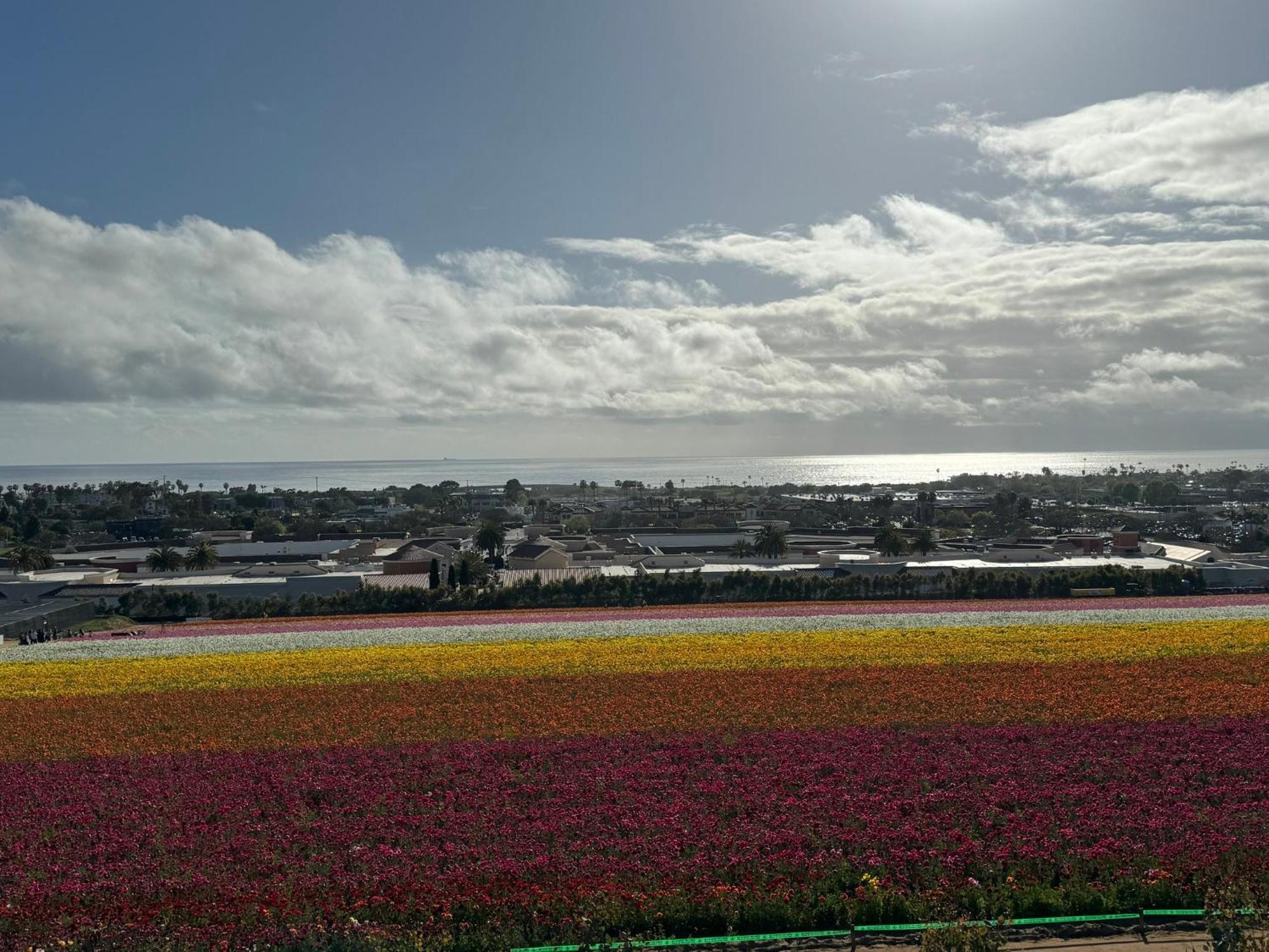 Holiday Inn Express Hotel & Suites Carlsbad Beach By Ihg Dış mekan fotoğraf