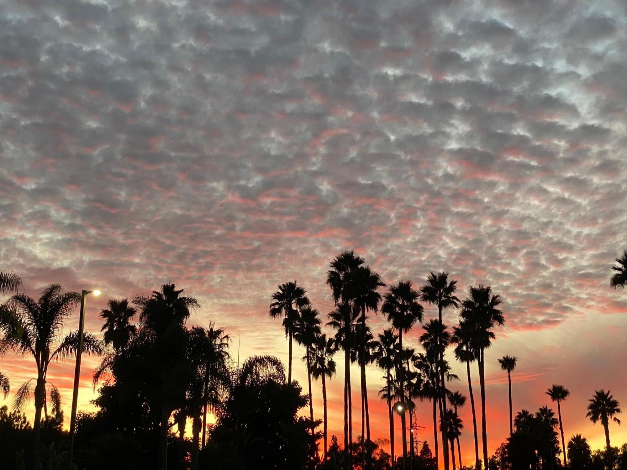 Holiday Inn Express Hotel & Suites Carlsbad Beach By Ihg Dış mekan fotoğraf